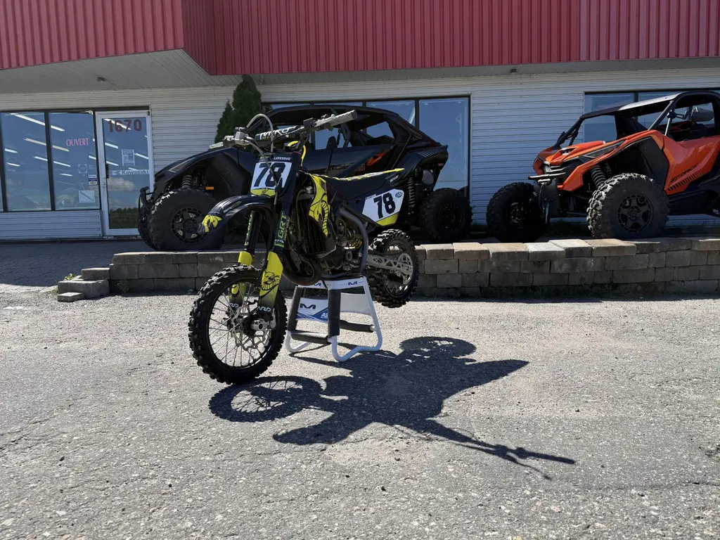 2019 Cobra CX65