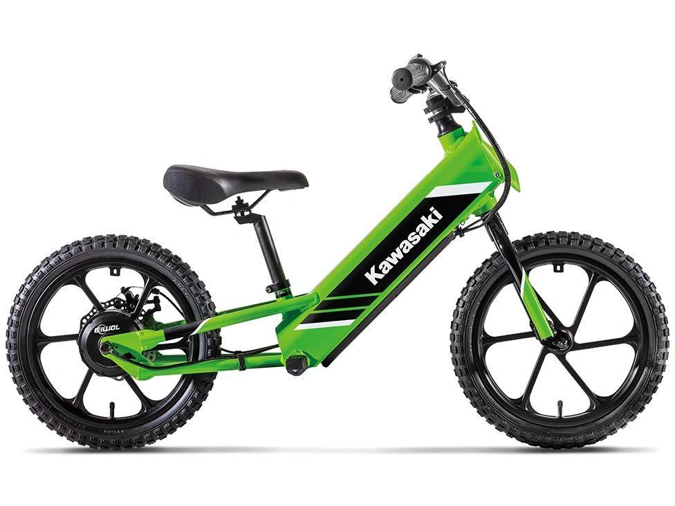 Kawasaki Elektrode 16 2027 alt