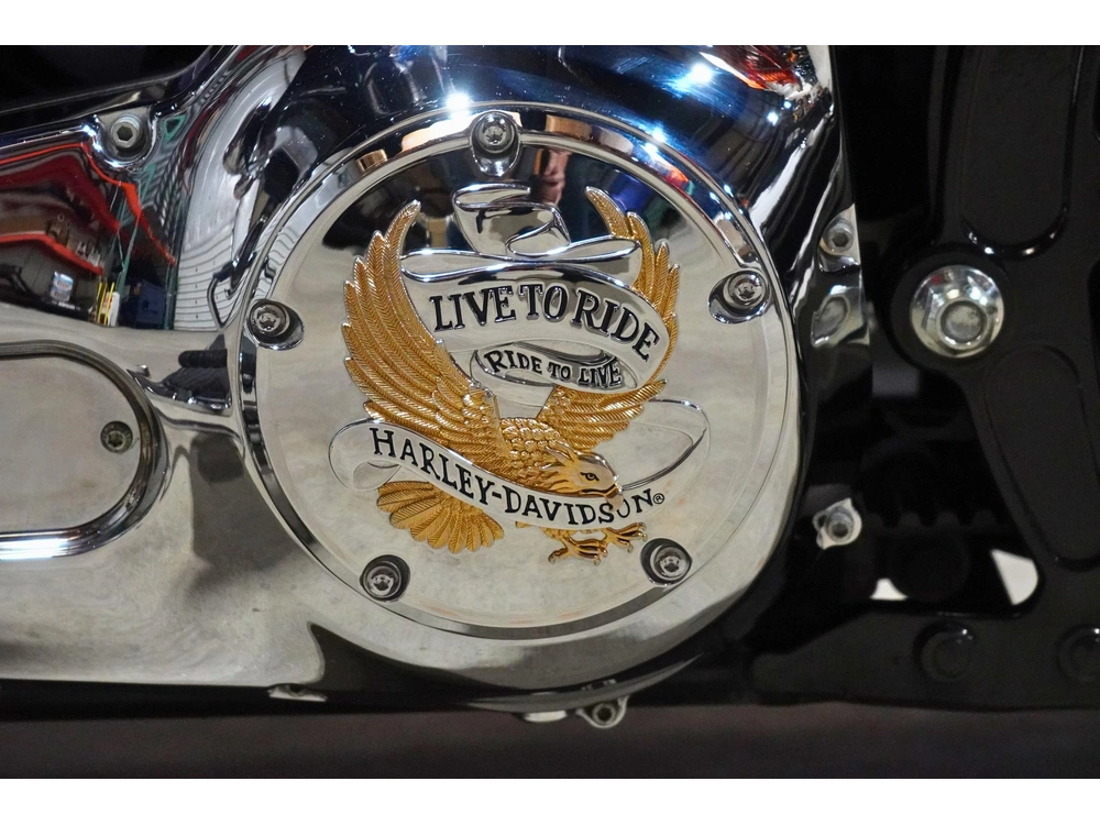 2005 Harley-davidson Flstn Softail Deluxe alt