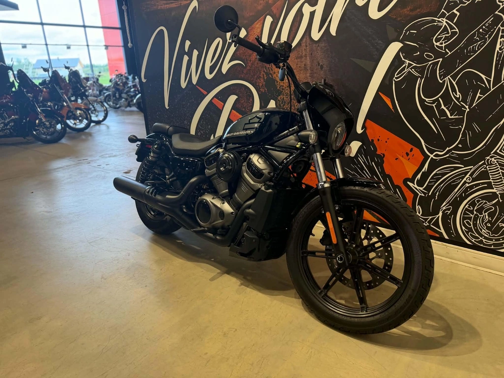 Harley-davidson Nightster 975 2022 alt