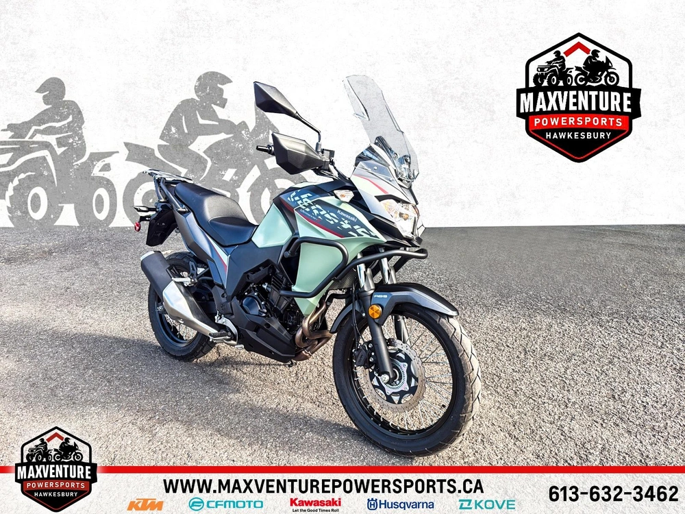 Kawasaki Versys X 300 2024 alt