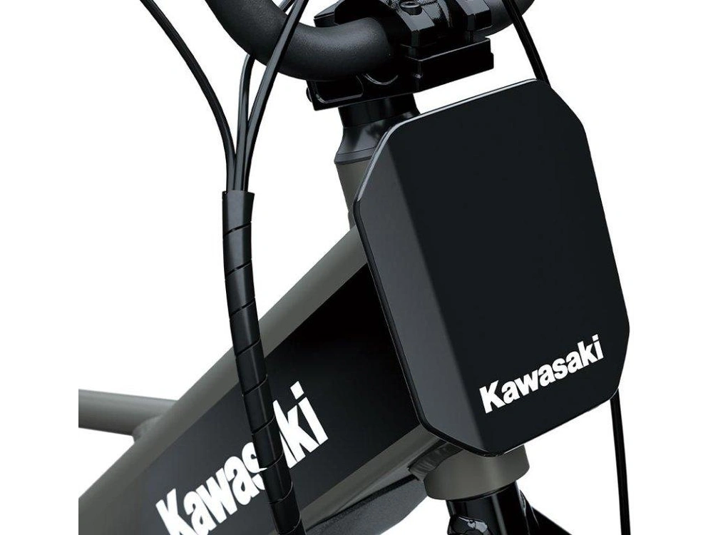 Kawasaki Elektrode 20fs 2027 alt