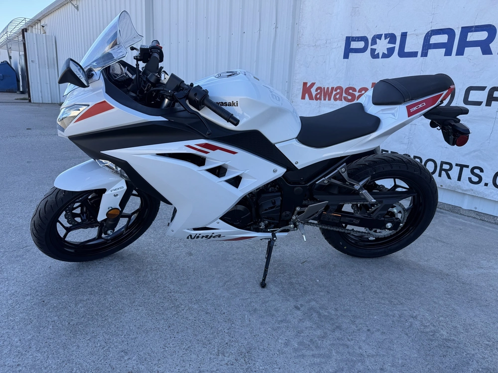 2026 Kawasaki Ninja 300 Abs alt