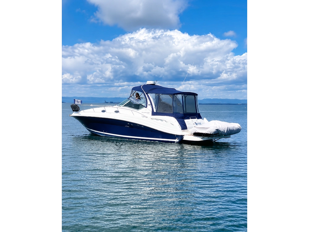 2006 Sea Ray Sundancer 340 alt