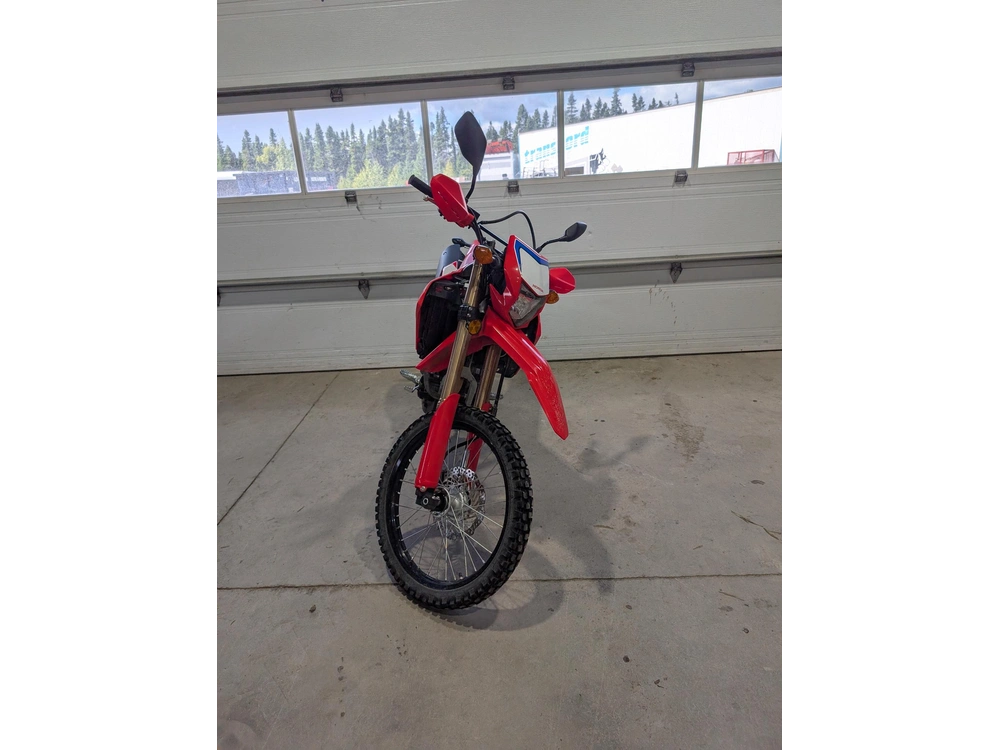 Honda Crf300l 2023 alt