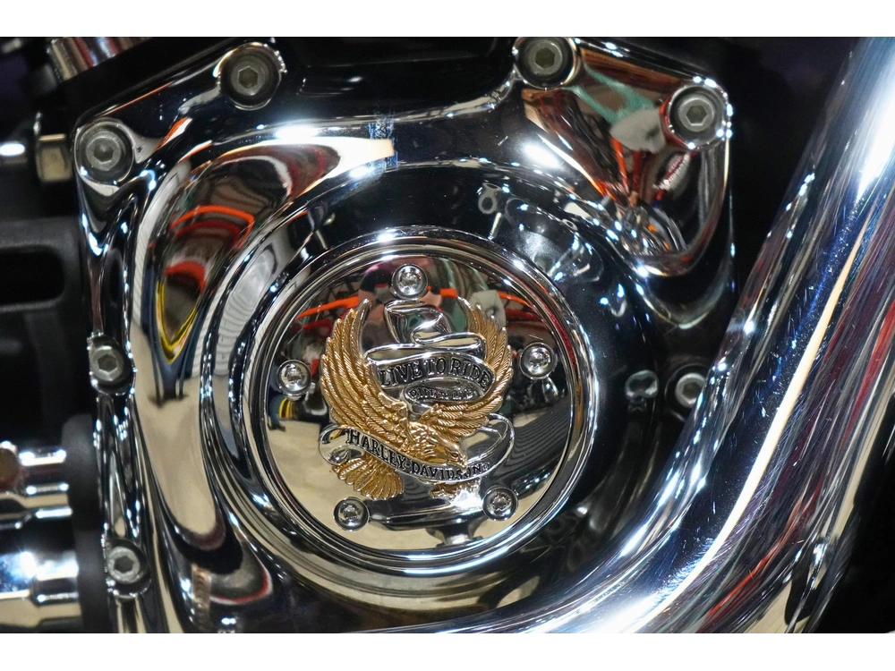 2005 Harley-davidson Flstn Softail Deluxe alt