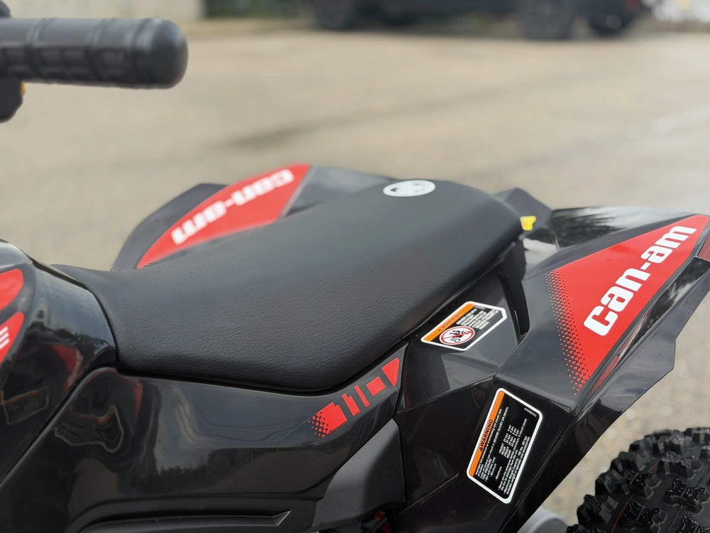 2026 Can-am Renegade X Xc 110 Efi alt