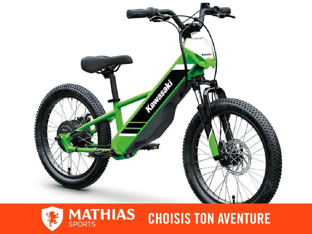 Kawasaki Elektrode 20 2027 alt