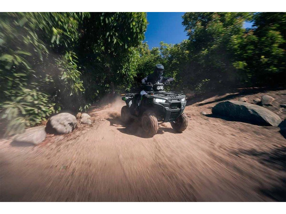 Kawasaki Brute Force 300 2027 alt