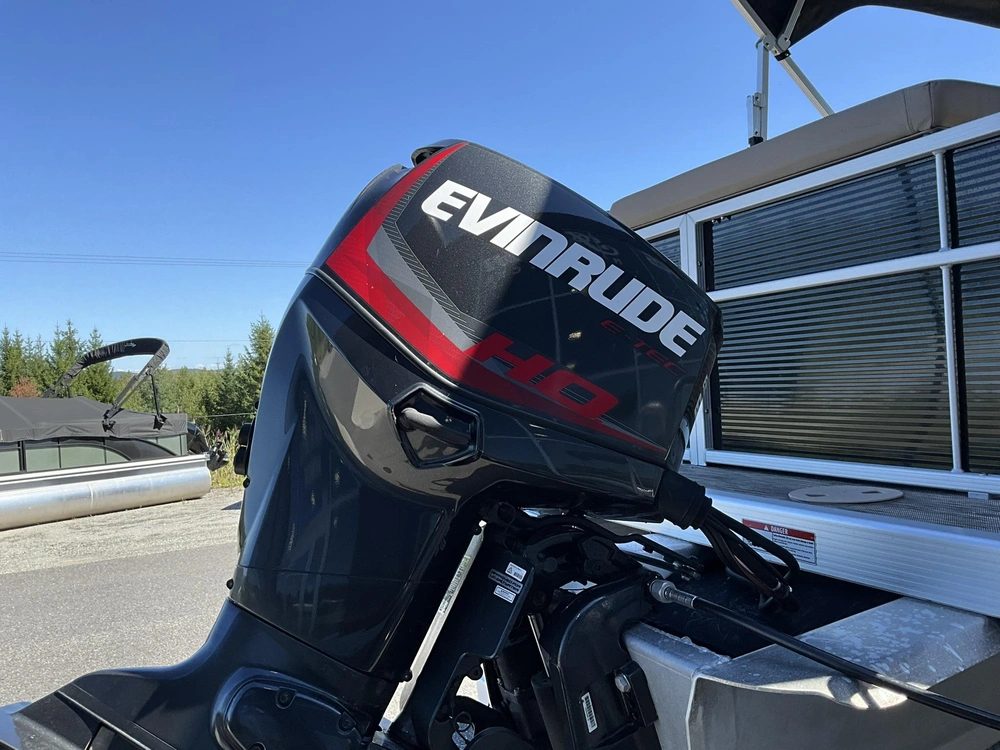 Bennington S 20 Cruise 2020 alt