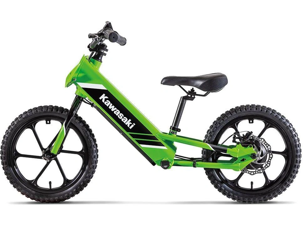 Kawasaki Elektrode 16 2027 alt