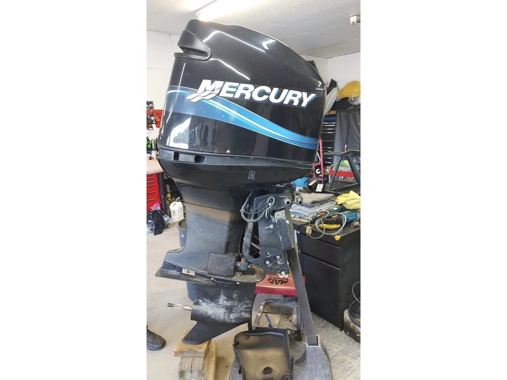 2004 Mercury 200 Optimax alt