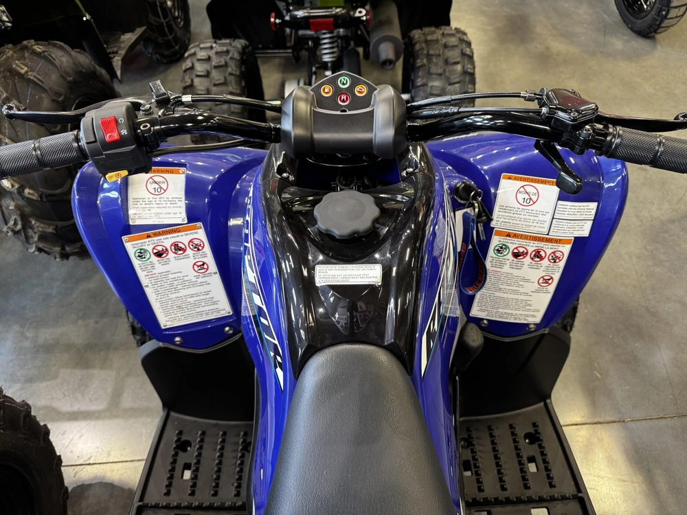 2026 Yamaha Raptor 110 alt