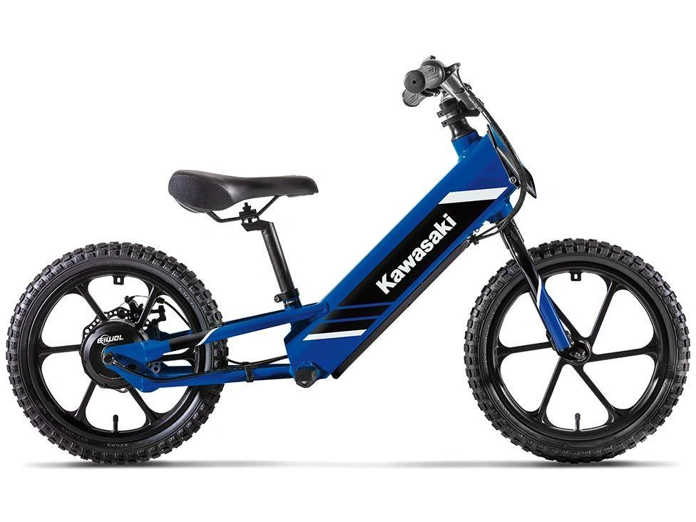 Kawasaki Elektrode 17 2027 alt