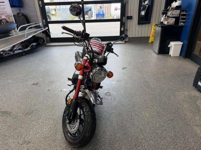 Honda Monkey 2024