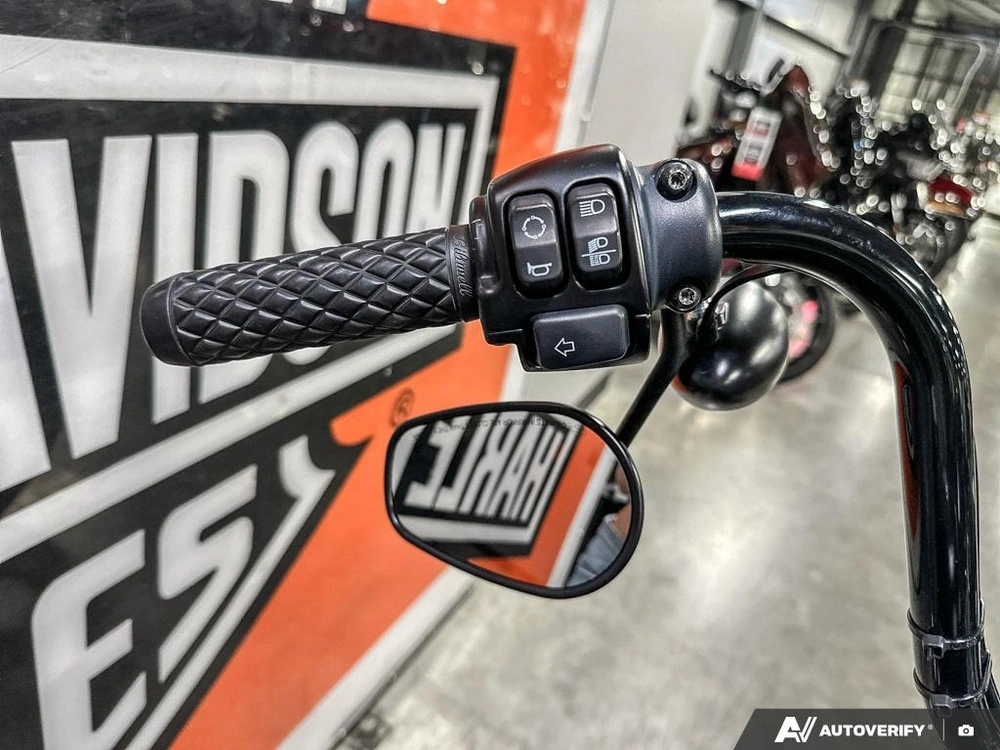 2021 Harley-davidson Iron 883 alt