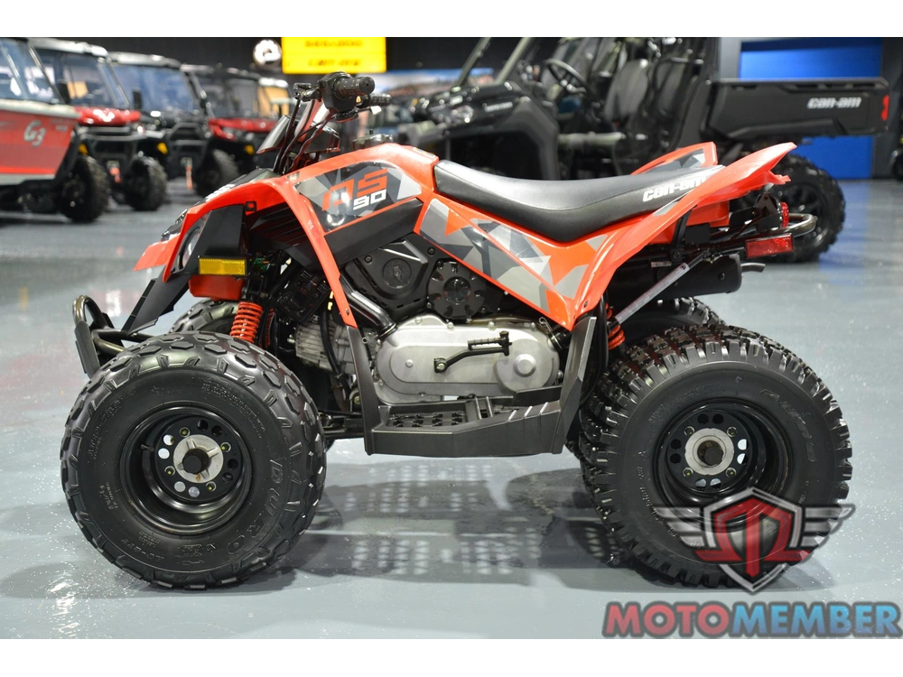 2019 Can-am Ds 90 alt