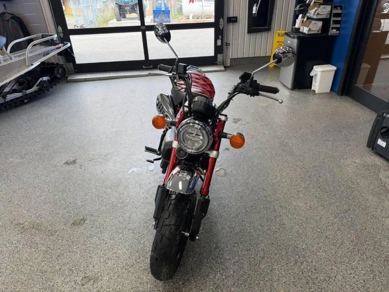 Honda Monkey 2024