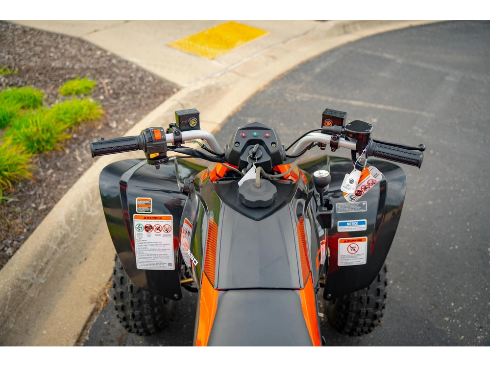 2026 Can-am Ds 250 alt
