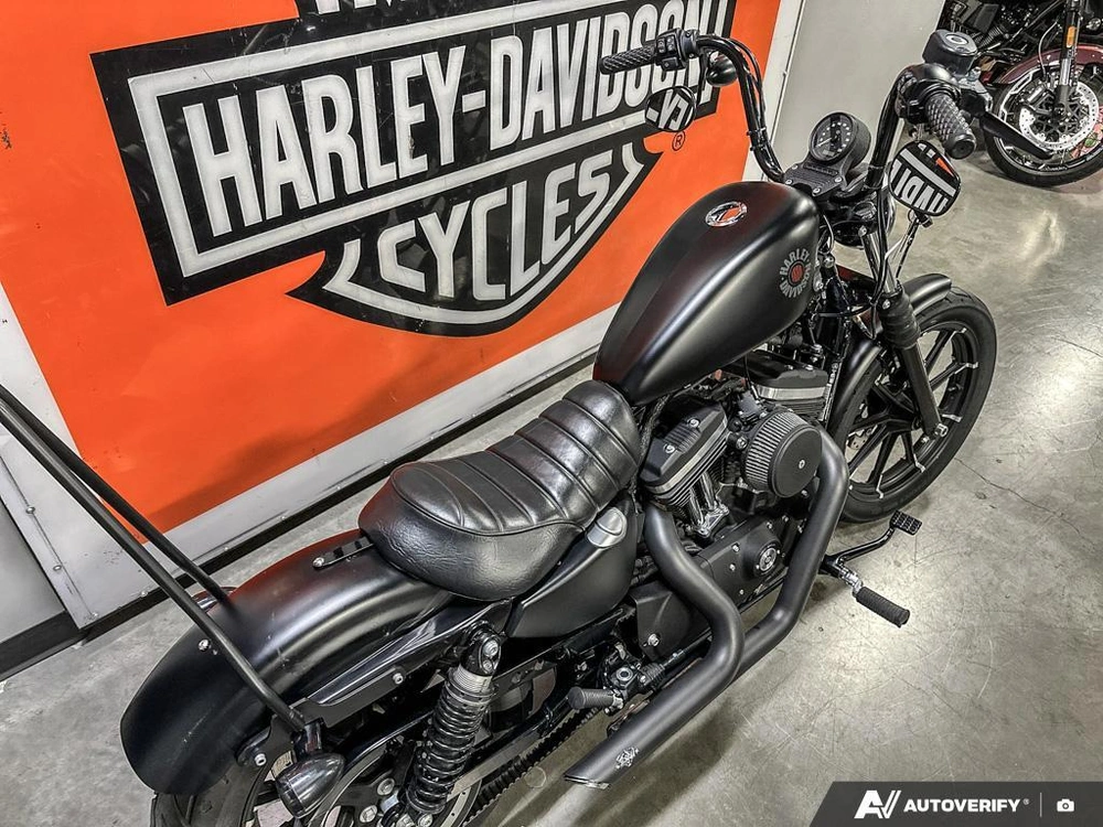 2021 Harley-davidson Iron 883 alt