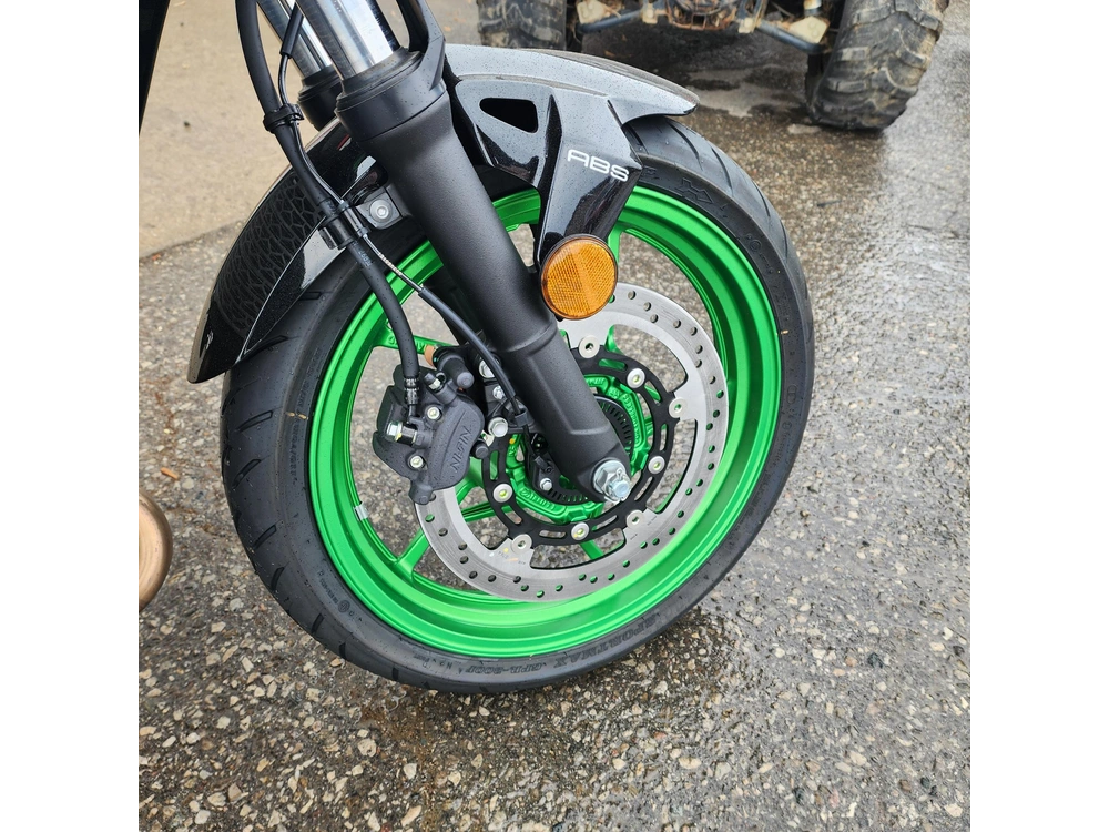 2025 Kawasaki Z500 Se alt