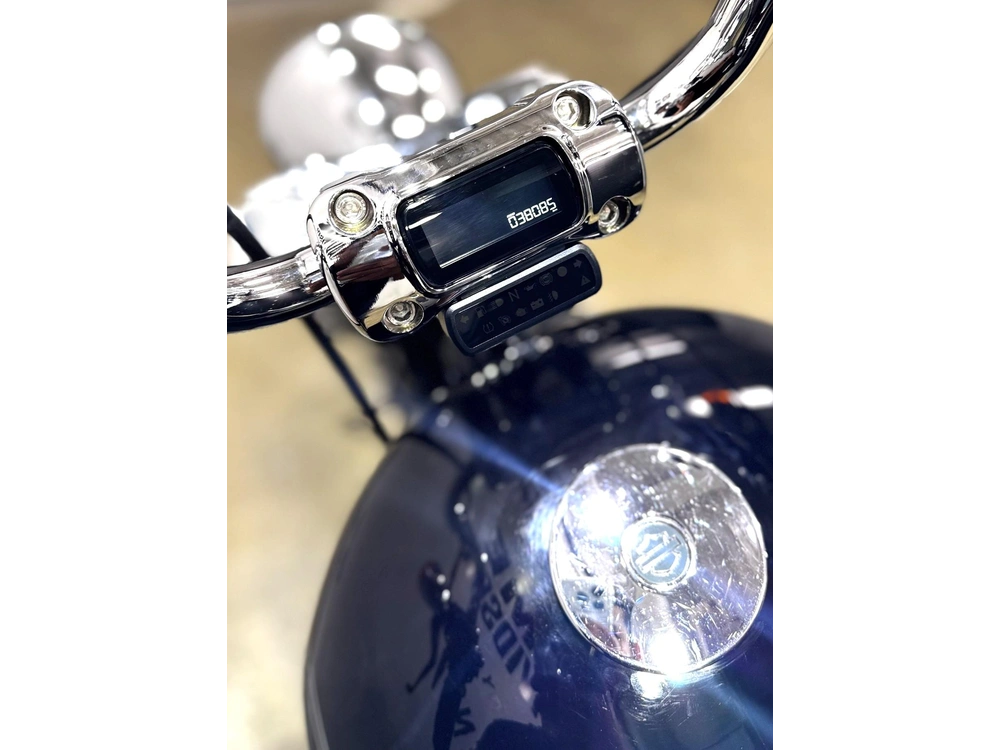 Harley-davidson Xl1200 Custom 2006 alt
