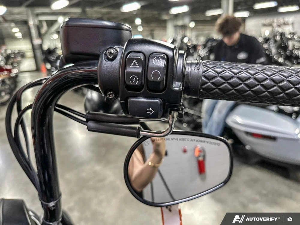 2021 Harley-davidson Iron 883 alt