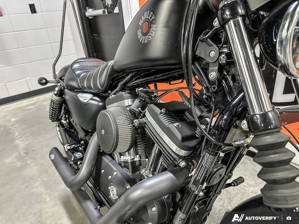 2021 Harley-davidson Iron 883 alt