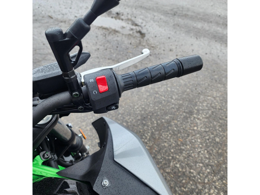 2025 Kawasaki Z500 Se alt