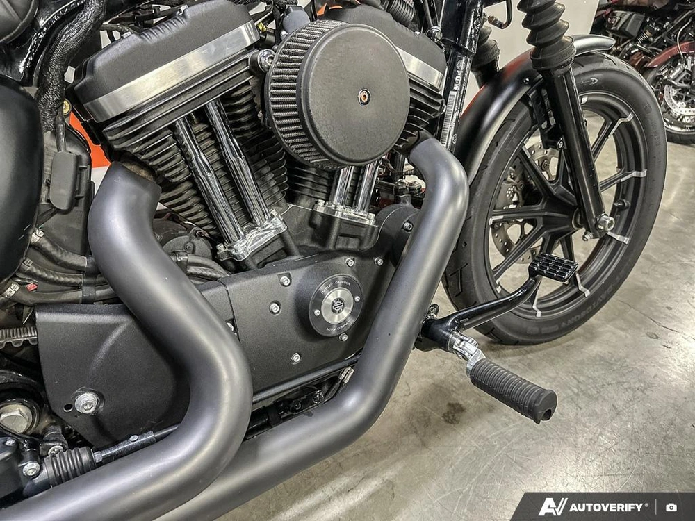 2021 Harley-davidson Iron 883 alt