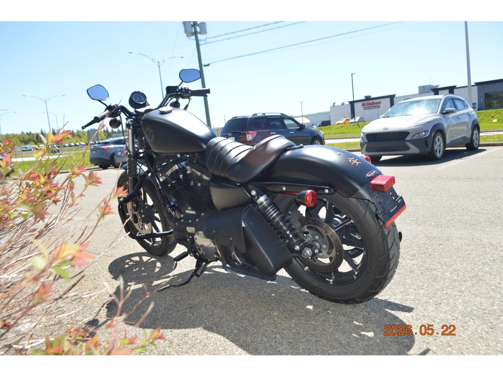 2022 Harley-davidson Xl883n alt