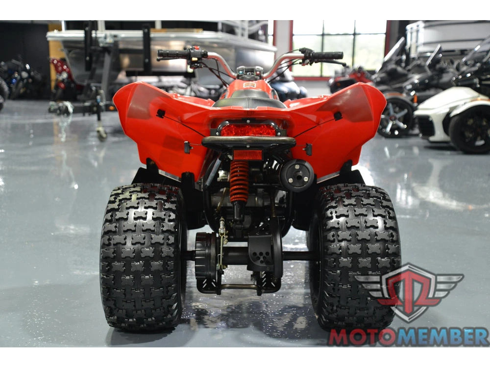 2019 Can-am Ds 90 alt