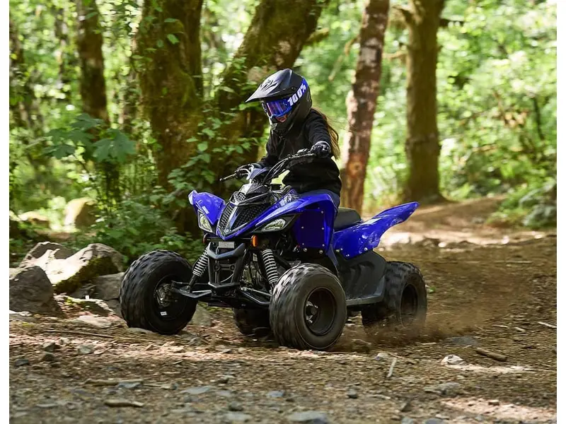 Yamaha RAPTOR 110 2027