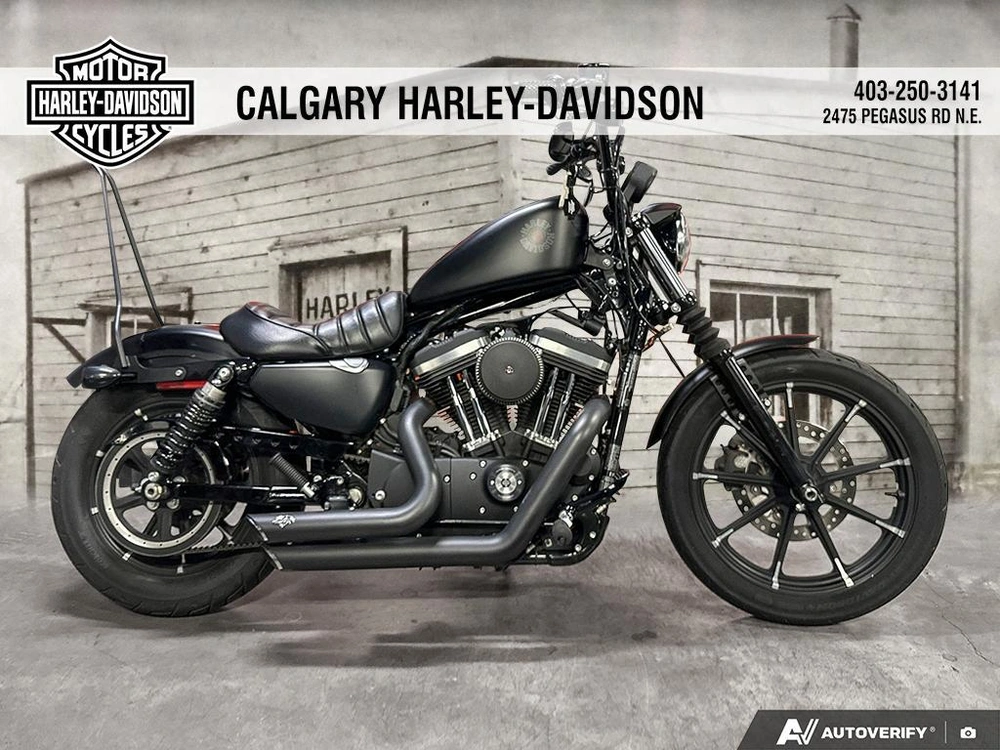 2021 Harley-davidson Iron 883 alt