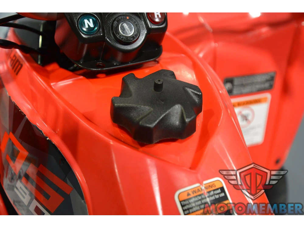 2019 Can-am Ds 90 alt