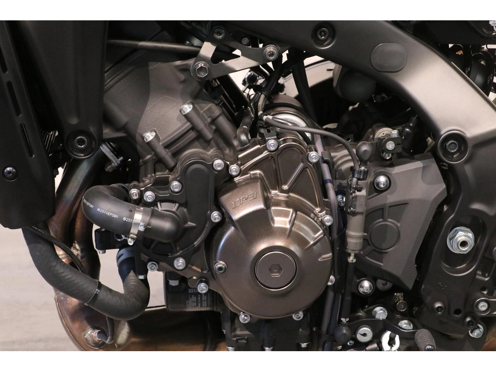 2026 Yamaha Xsr900 (demo)