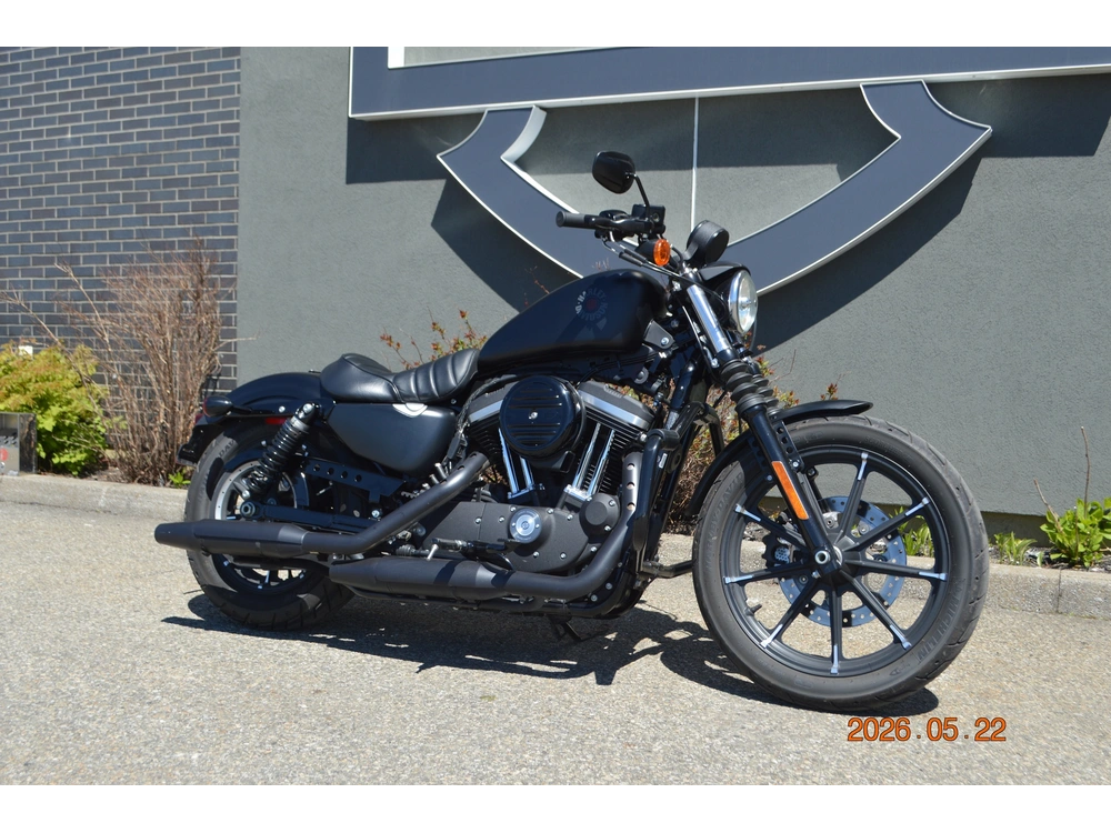 2022 Harley-davidson Xl883n alt