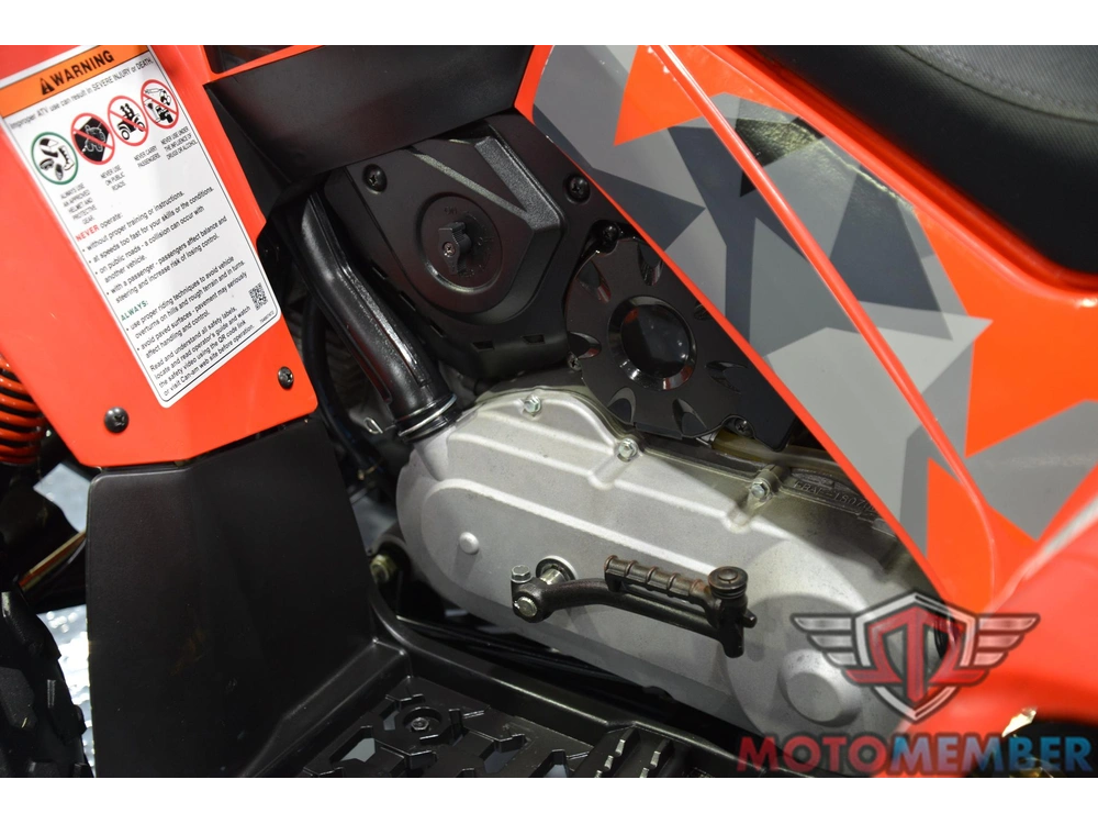 2019 Can-am Ds 90 alt