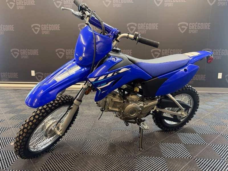 Yamaha Tt-r110 2026