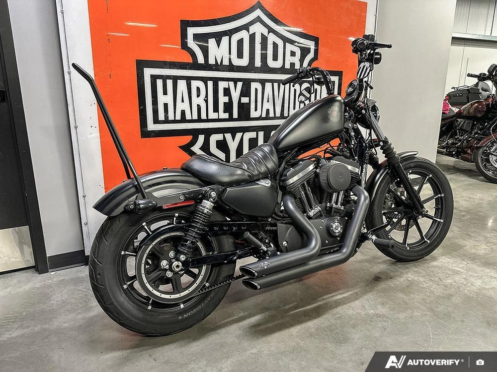 2021 Harley-davidson Iron 883 alt