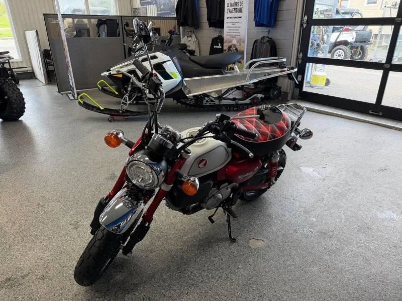 Honda Monkey 2024