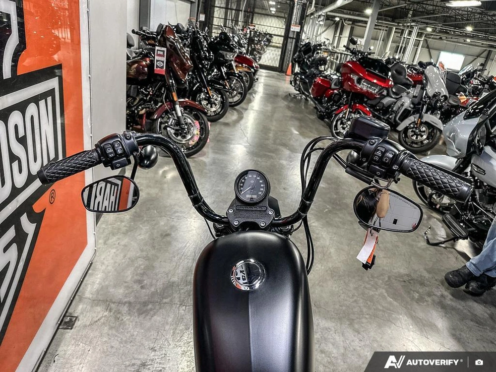 2021 Harley-davidson Iron 883 alt