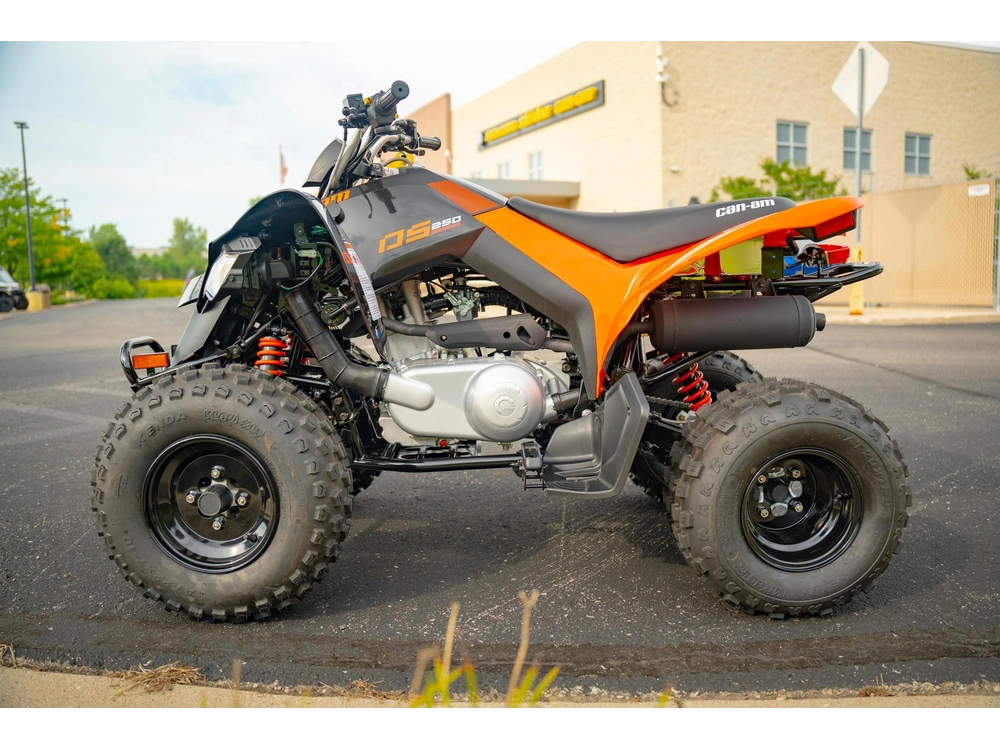 2026 Can-am Ds 250 alt