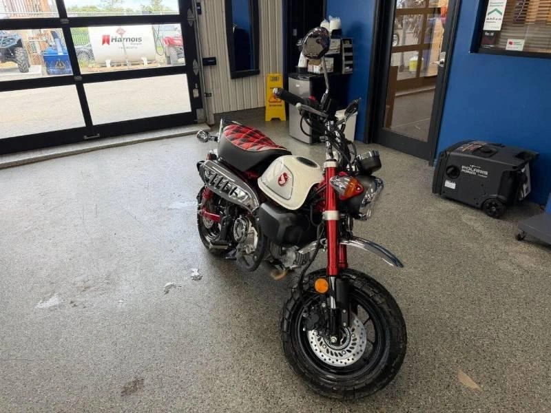 Honda Monkey 2024