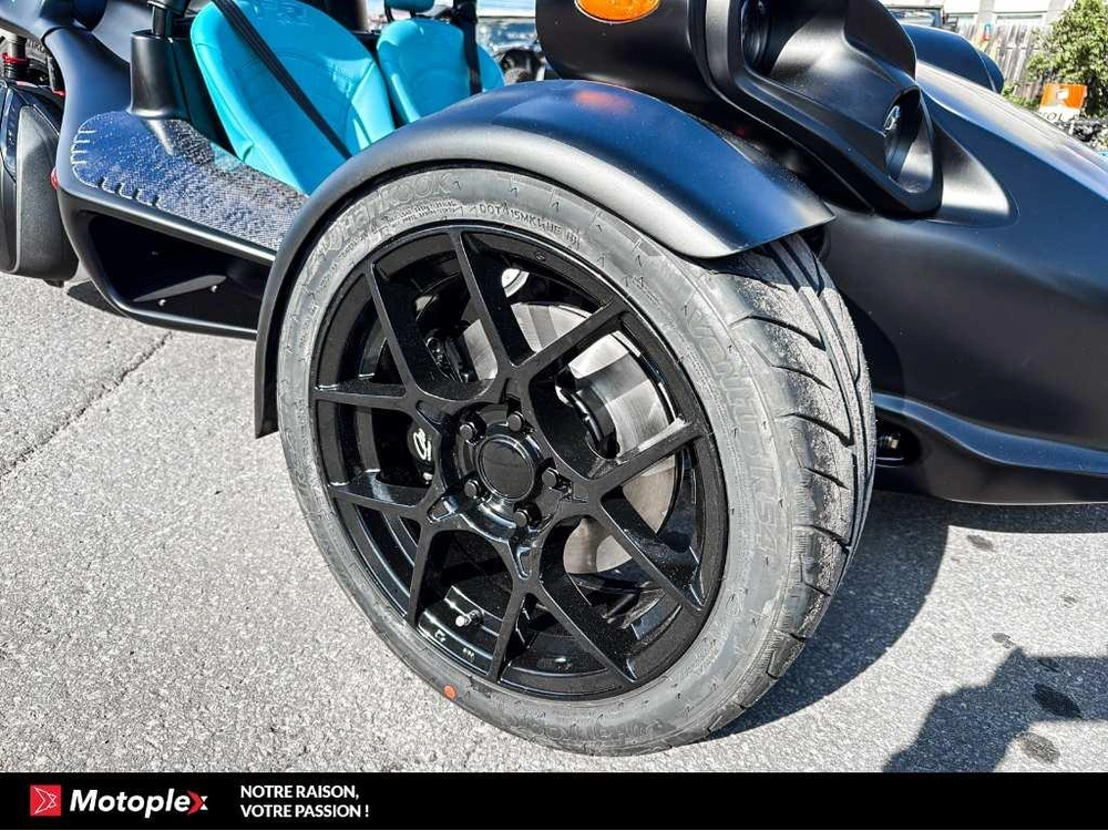 Campagna T-rex Rr 2026 alt