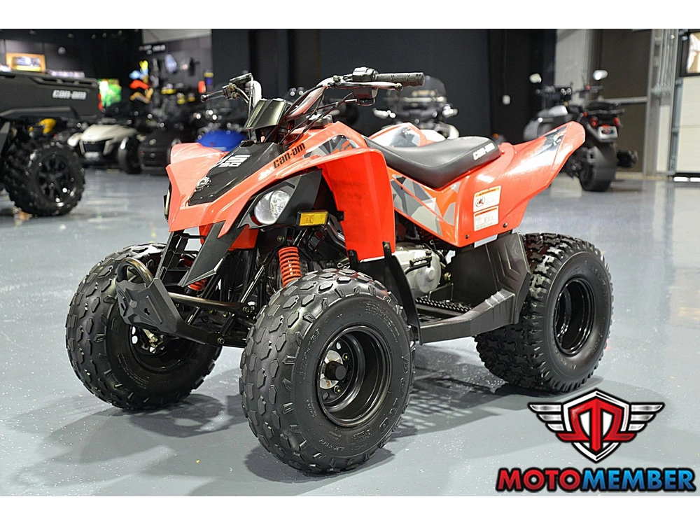 2019 Can-am Ds 90 alt