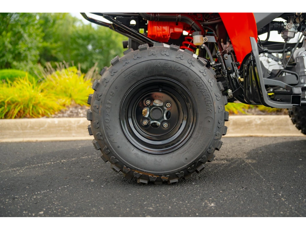 2026 Can-am Ds 250 alt