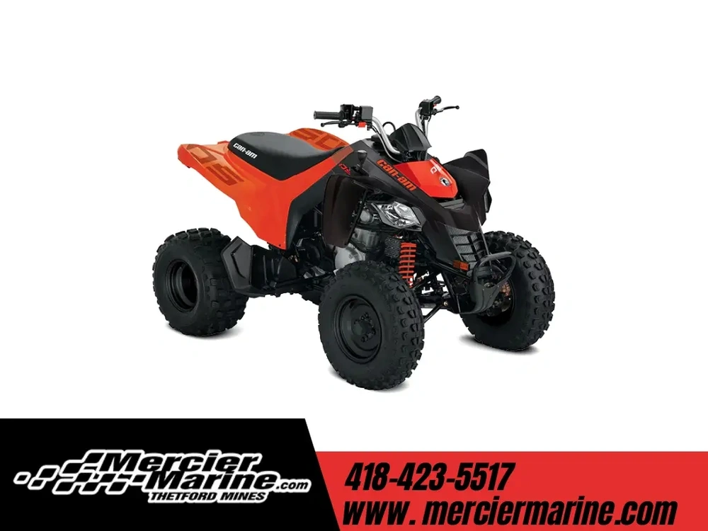 Can-am Ds 250 2027 alt