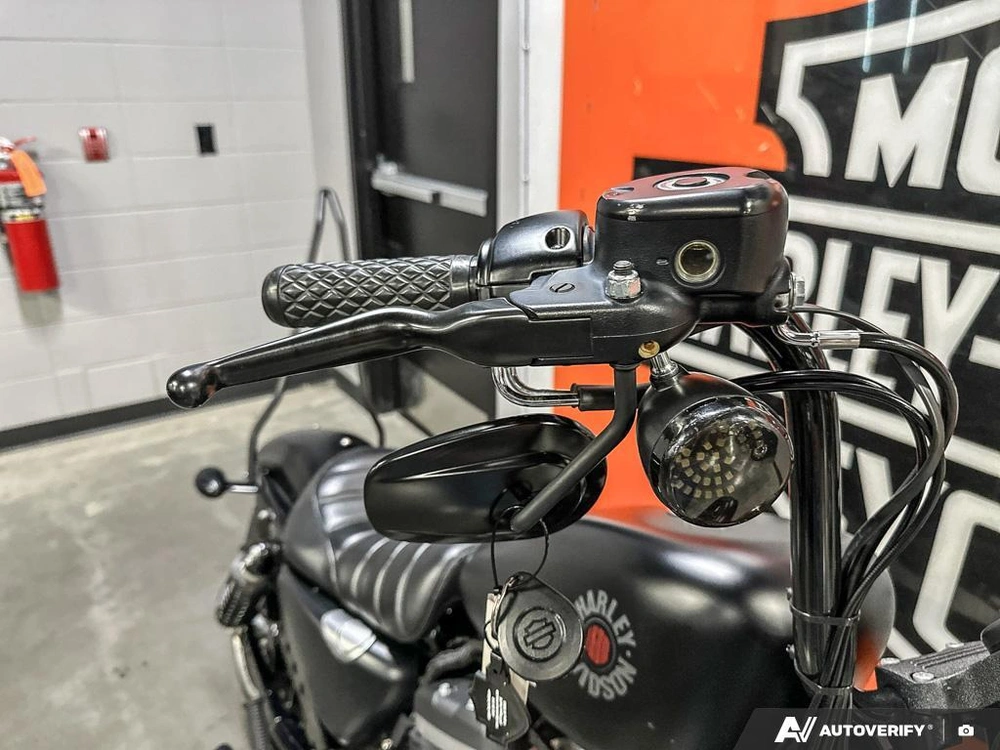 2021 Harley-davidson Iron 883 alt