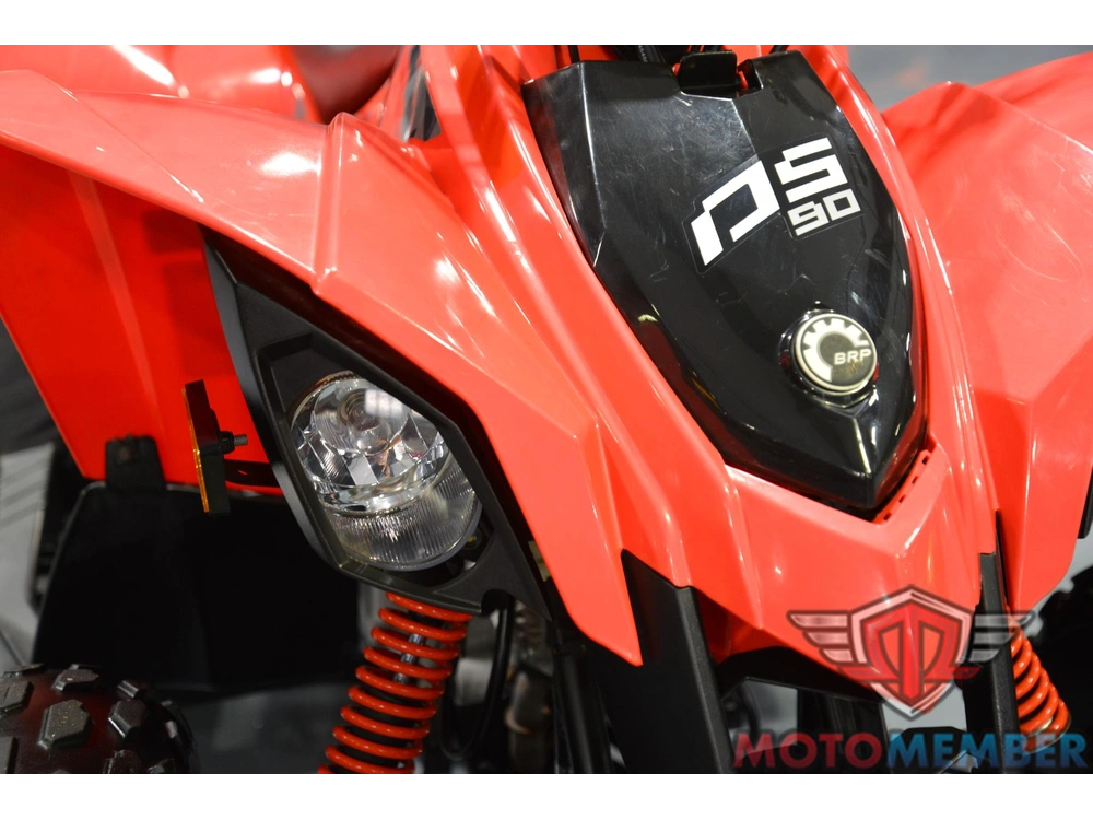 2019 Can-am Ds 90 alt